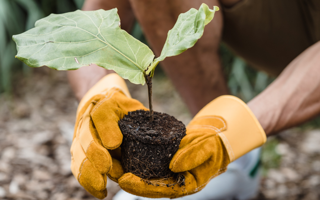 Maîtrise de l’Impact Sociétal pour un Changement Durable